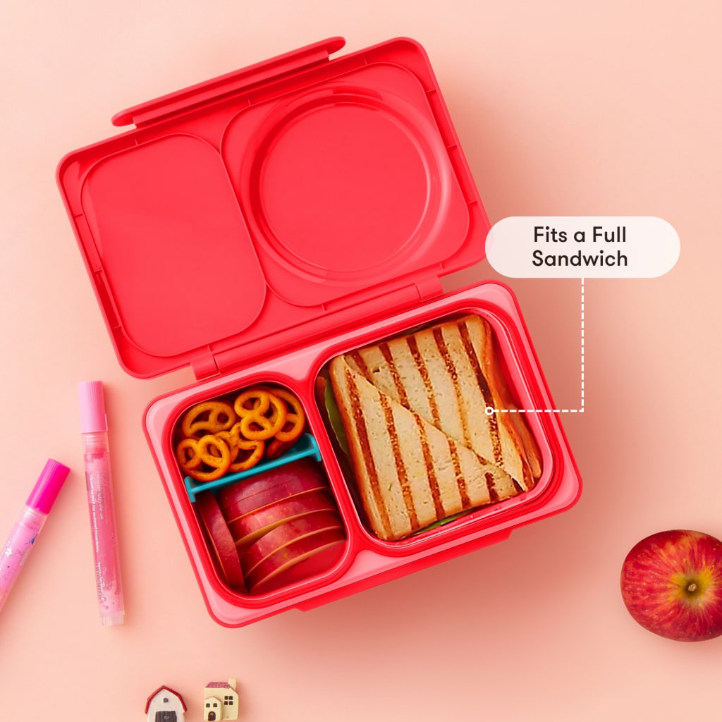 The hot + cold bento for big kids