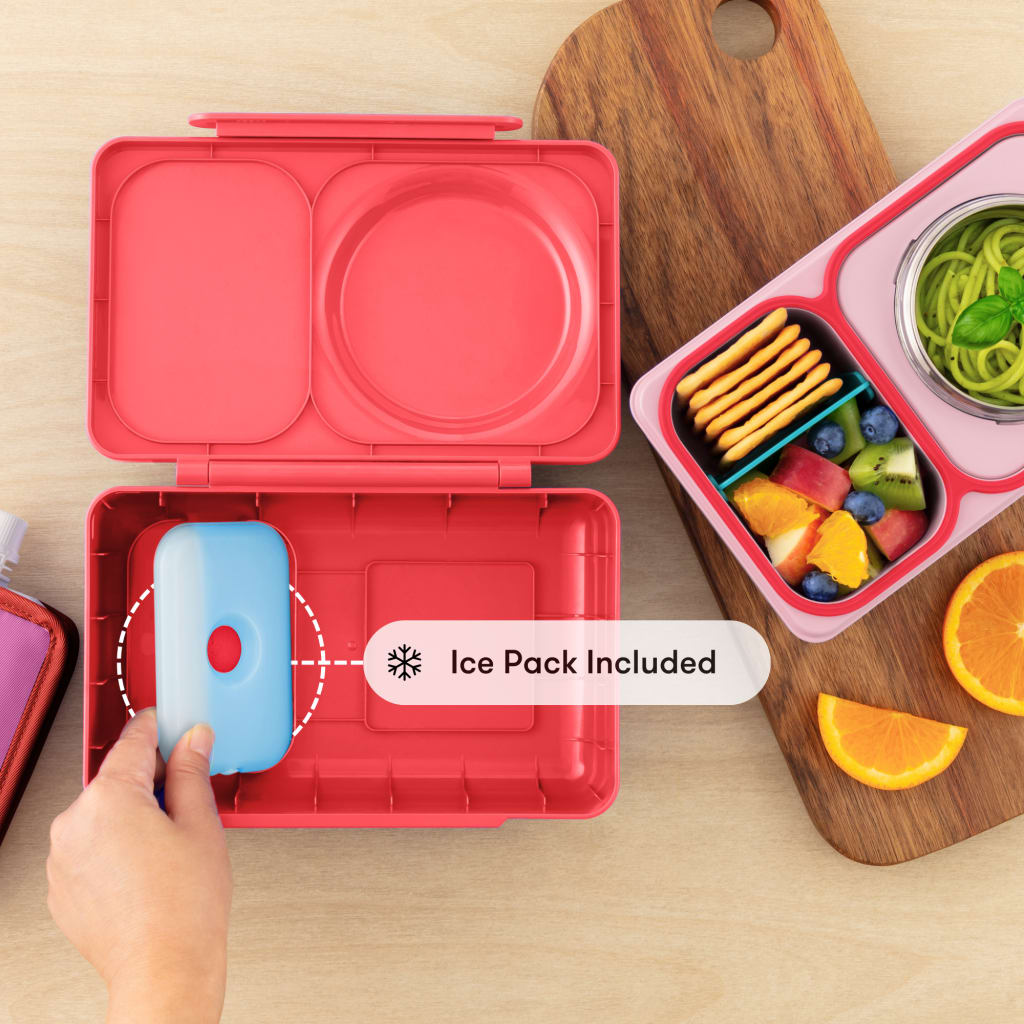 The hot + cold bento for big kids
